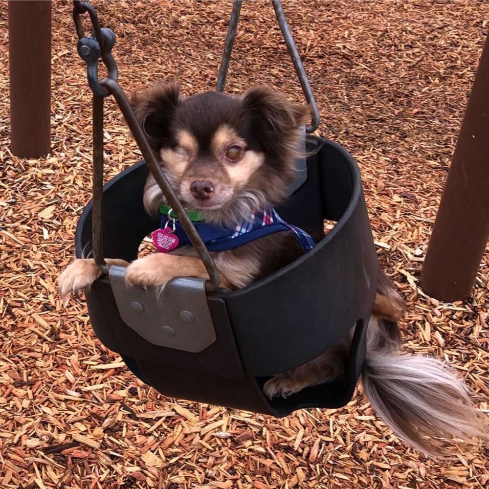 Meet your Posher, Elisabeth